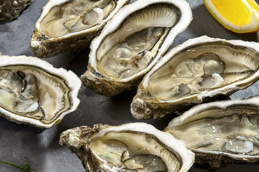 Interdiction  temporaire de la pêche, de la récolte et de la commercialisation de la pêche, de la récolte et de la commercialisation