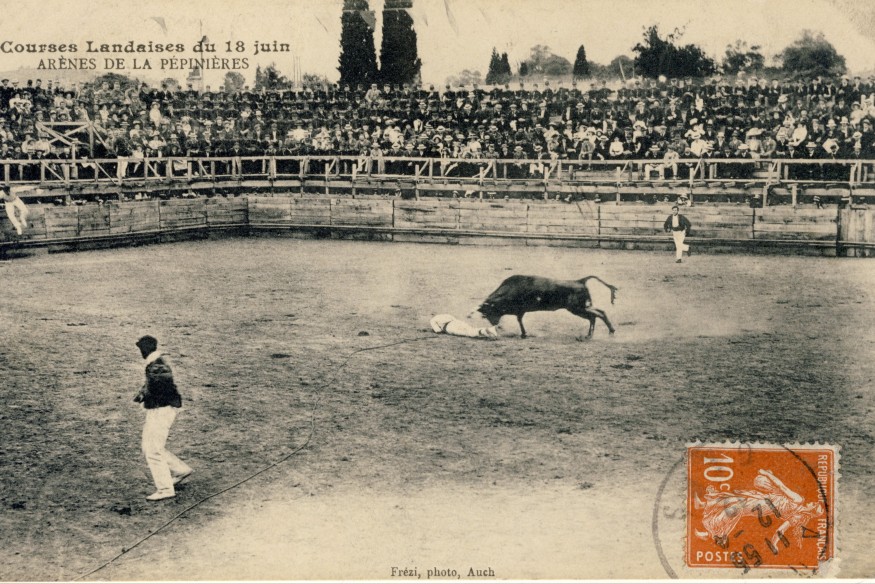 La course landaise : une longue histoire par François Bordes,