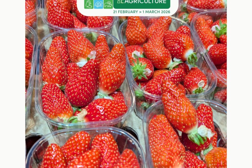 Salon de L'Agriculture : Le dernier jour .